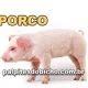 Palpite do dia do Jogo do Bicho de hoje 18/10/2025