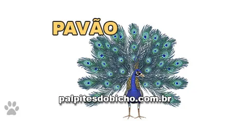 Palpite do dia do Jogo do Bicho de hoje 19/10/2025