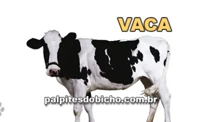 Palpite do dia do Jogo do Bicho de hoje 25/10/2025