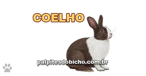 Palpite do dia do Jogo do Bicho de hoje 10/11/2025