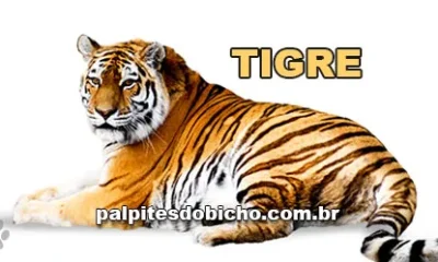 Palpite do dia do Jogo do Bicho de hoje 22/11/2025