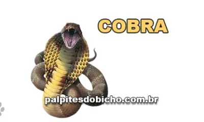 Palpite do dia do Jogo do Bicho de hoje - Noite - 15/11/2025