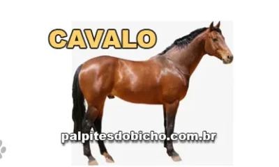 Palpite do dia do Jogo do Bicho de hoje - Tarde - 13/11/2025