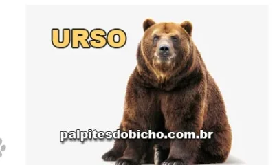 Palpite do dia do Jogo do Bicho de hoje - Noite - 12/03/2026