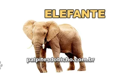 Palpite do dia do Jogo do Bicho de hoje - Noite - 06/04/2026