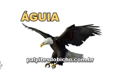 Palpite do dia do Jogo do Bicho de hoje - Noite - 20/04/2026