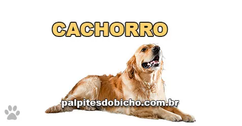 Palpite do dia do Jogo do Bicho de hoje - Tarde - 17/04/2026