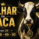 Milhar da Vaca