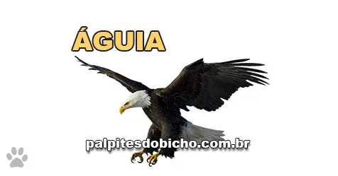 Palpite do Jogo do Bicho Hoje 02/08/2026 | FEDERAL