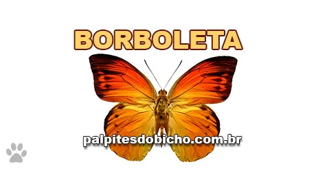 Palpite do Jogo do Bicho Hoje 04/08/2026