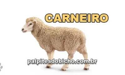 Palpite do Jogo do Bicho Hoje 07/08/2026