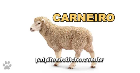 Palpite do Jogo do Bicho Hoje 07/08/2026