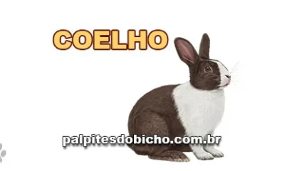 Palpite do Jogo do Bicho Hoje 10/08/2026
