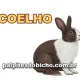 Palpite do Jogo do Bicho Hoje 10/08/2026