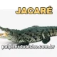 Palpite do Jogo do Bicho Hoje 15/08/2026