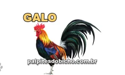 Palpite do dia do Jogo do Bicho de hoje 13/07/2026