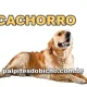 Palpite do dia do Jogo do Bicho de hoje - Tarde - 13/07/2026