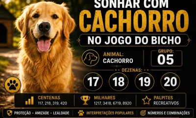 Sonhar com Cachorro no Jogo do Bicho