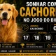 Sonhar com Cachorro no Jogo do Bicho