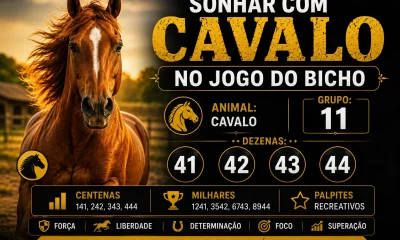 Sonhar com Cavalo no Jogo do Bicho