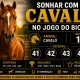 Sonhar com Cavalo no Jogo do Bicho