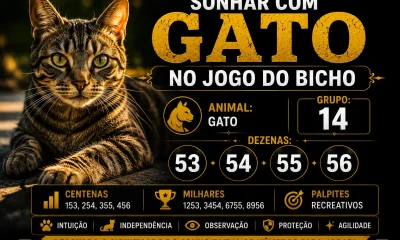 Sonhar com Gato no Jogo do Bicho