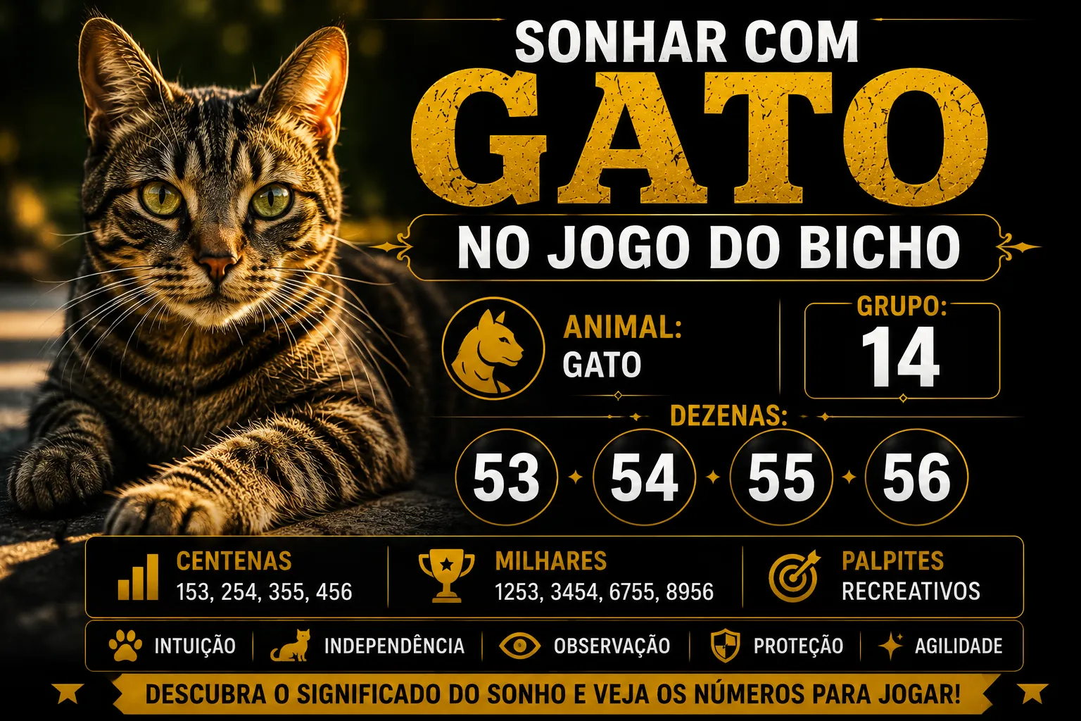 Sonhar com Gato no Jogo do Bicho