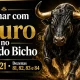 Sonhar com Touro no Jogo do Bicho