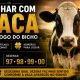 Sonhar com Vaca no Jogo do Bicho
