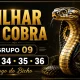 milhar da Cobra no jogo do bicho