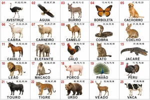 puxadas do bicho