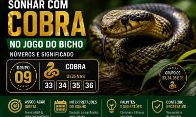 sonhar com cobra jogo do bicho