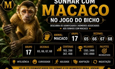 sonhar com macaco no jogo do bicho