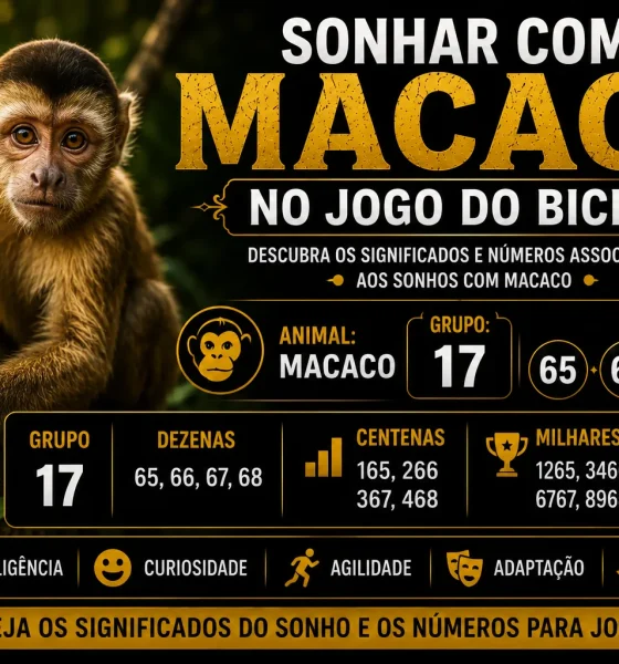 sonhar com macaco no jogo do bicho