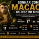 sonhar com macaco no jogo do bicho
