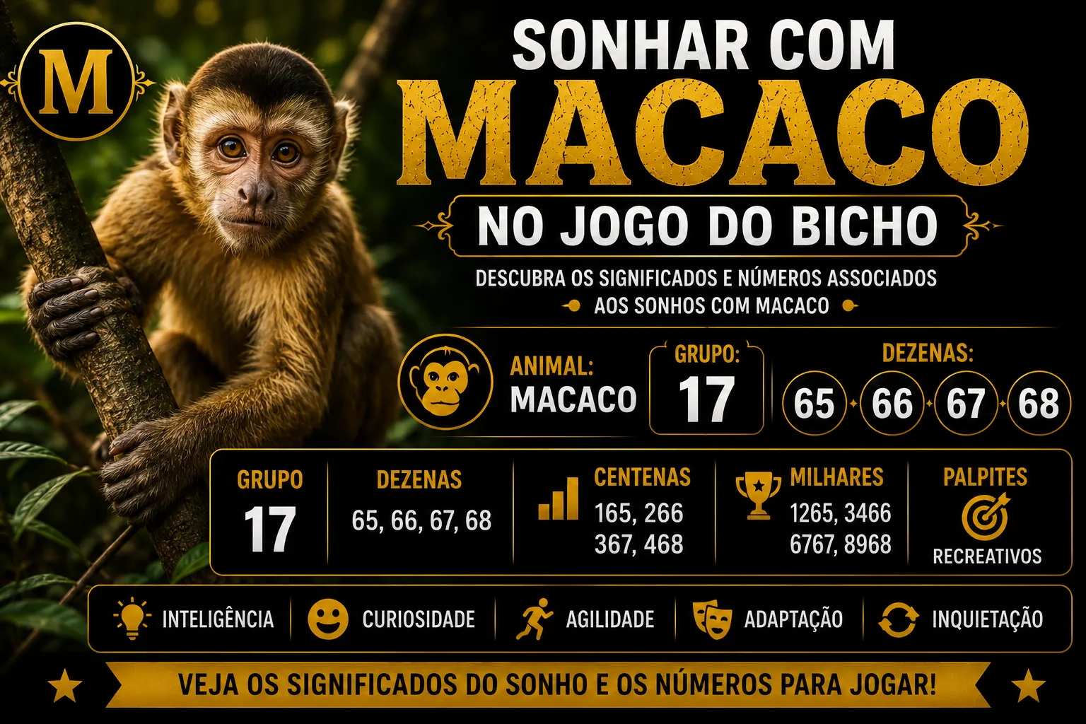sonhar com macaco no jogo do bicho