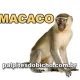 Palpite do Jogo do Bicho Hoje 17/09/2026